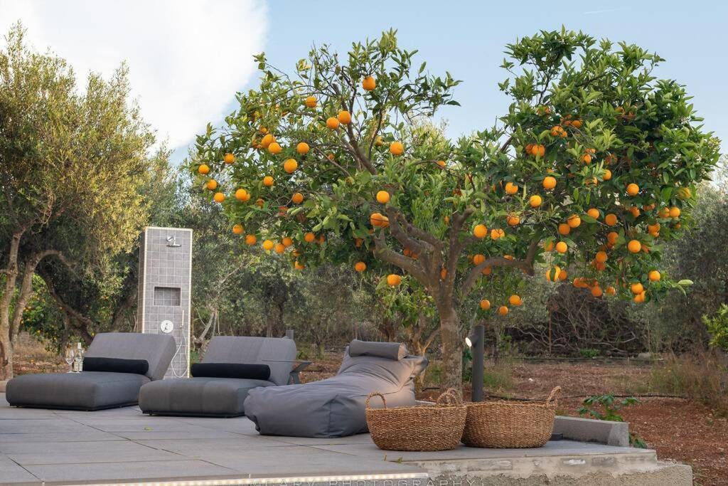 포르토헬리 Orange Tree 빌라 외부 사진